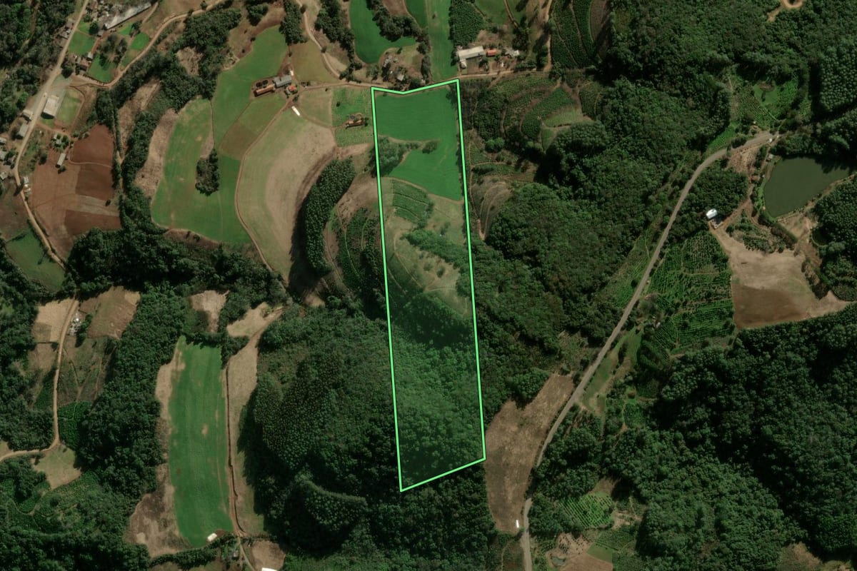 Imagem de satélite do imóvel rural em Anta Gorda (RS), com o contorno declarado no CAR desenhado por cima.