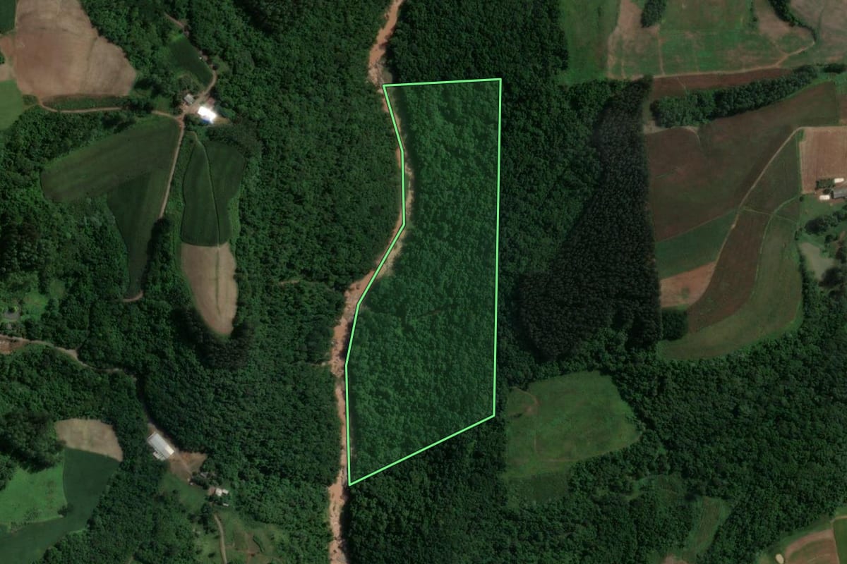 Imagem de satélite do imóvel rural em Anta Gorda (RS), com o contorno declarado no CAR desenhado por cima.