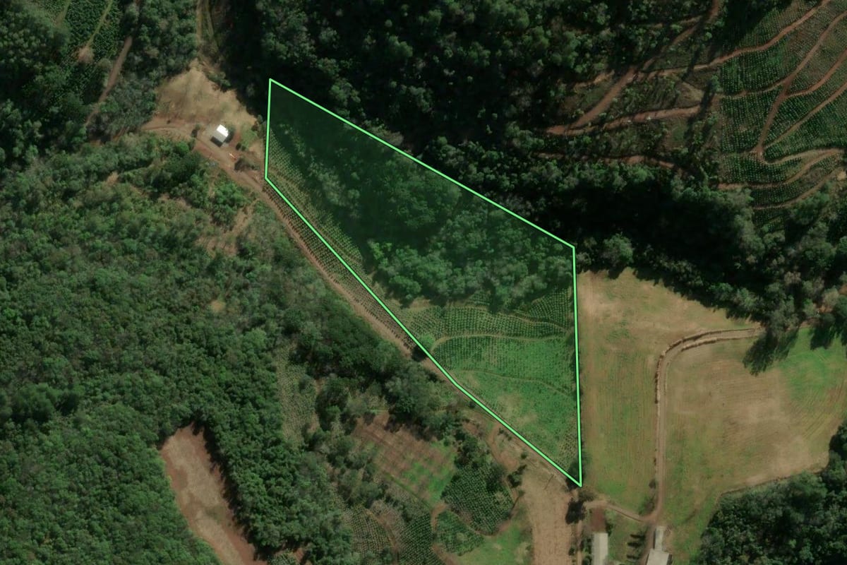 Imagem de satélite do imóvel rural em Anta Gorda (RS), com o contorno declarado no CAR desenhado por cima.