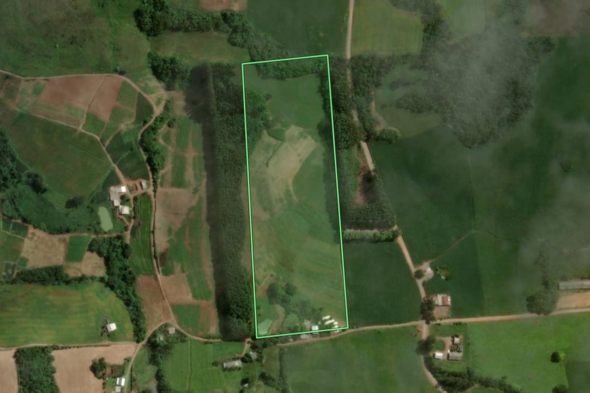 Imagem de satélite do imóvel rural em Anta Gorda (RS), com o contorno declarado no CAR desenhado por cima.