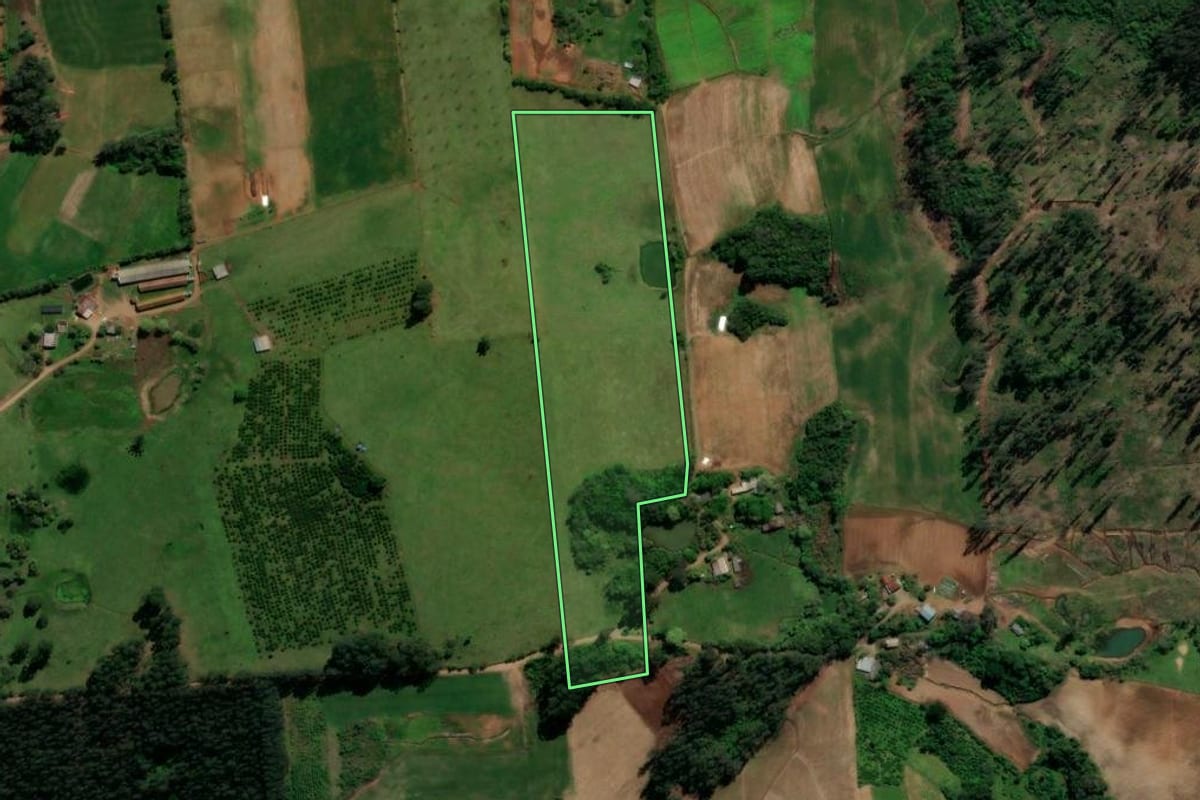 Imagem de satélite do imóvel rural em Anta Gorda (RS), com o contorno declarado no CAR desenhado por cima.