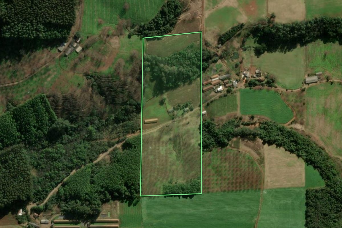 Imagem de satélite do imóvel rural em Anta Gorda (RS), com o contorno declarado no CAR desenhado por cima.