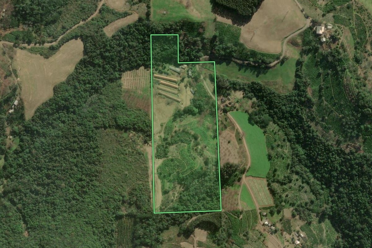 Imagem de satélite do imóvel rural em Anta Gorda (RS), com o contorno declarado no CAR desenhado por cima.