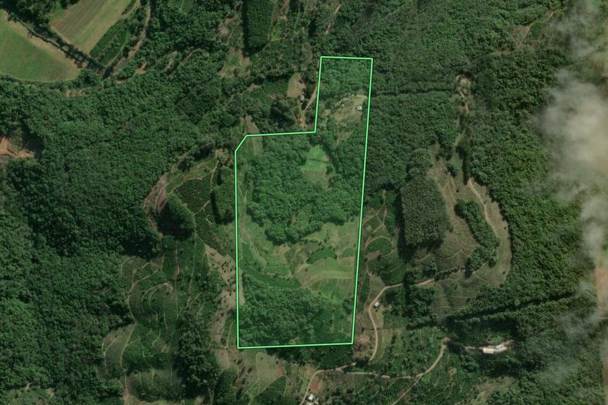 Imagem de satélite do imóvel rural em Anta Gorda (RS), com o contorno declarado no CAR desenhado por cima.