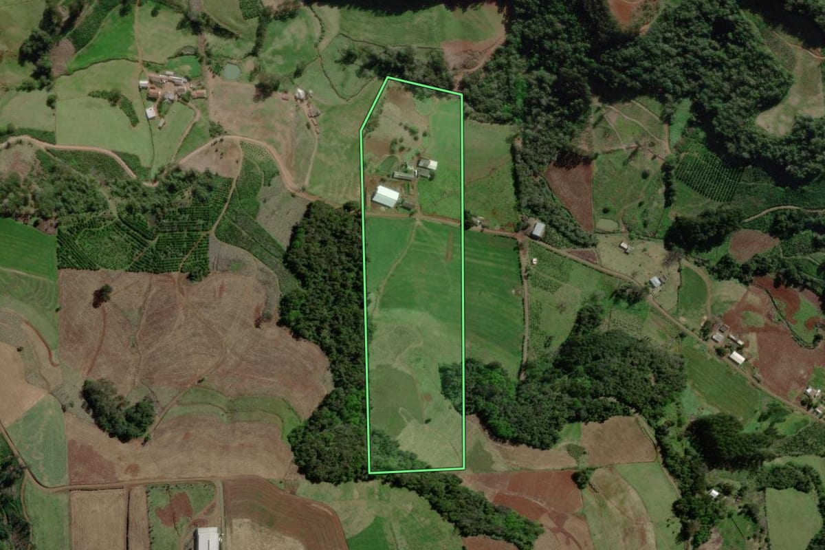 Imagem de satélite do imóvel rural em Anta Gorda (RS), com o contorno declarado no CAR desenhado por cima.