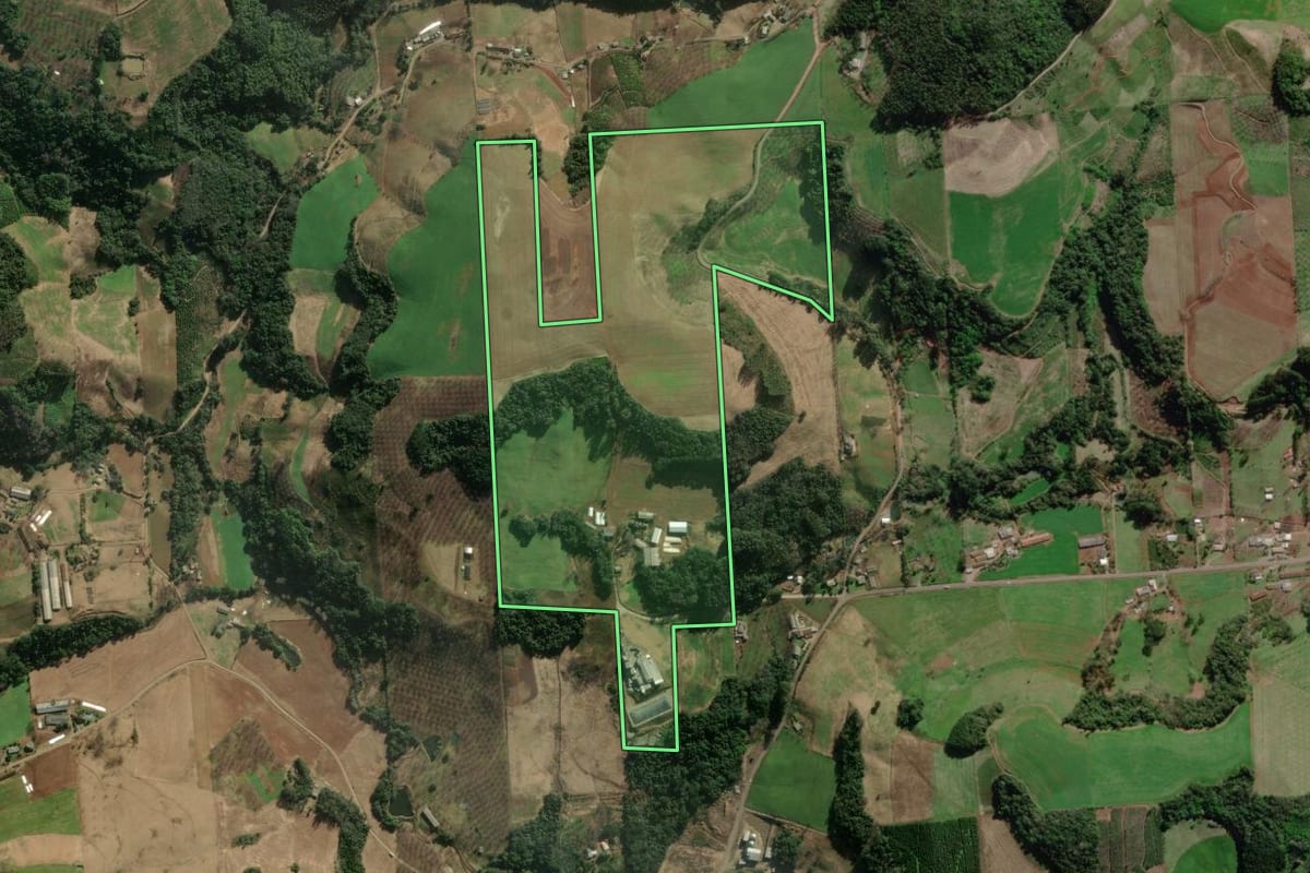 Imagem de satélite do imóvel rural em Anta Gorda (RS), com o contorno declarado no CAR desenhado por cima.