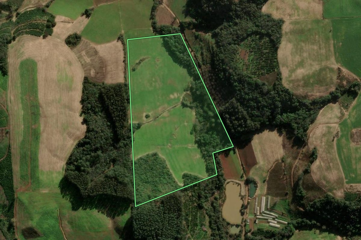Imagem de satélite do imóvel rural em Anta Gorda (RS), com o contorno declarado no CAR desenhado por cima.