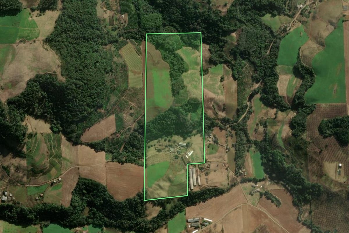 Imagem de satélite do imóvel rural em Anta Gorda (RS), com o contorno declarado no CAR desenhado por cima.