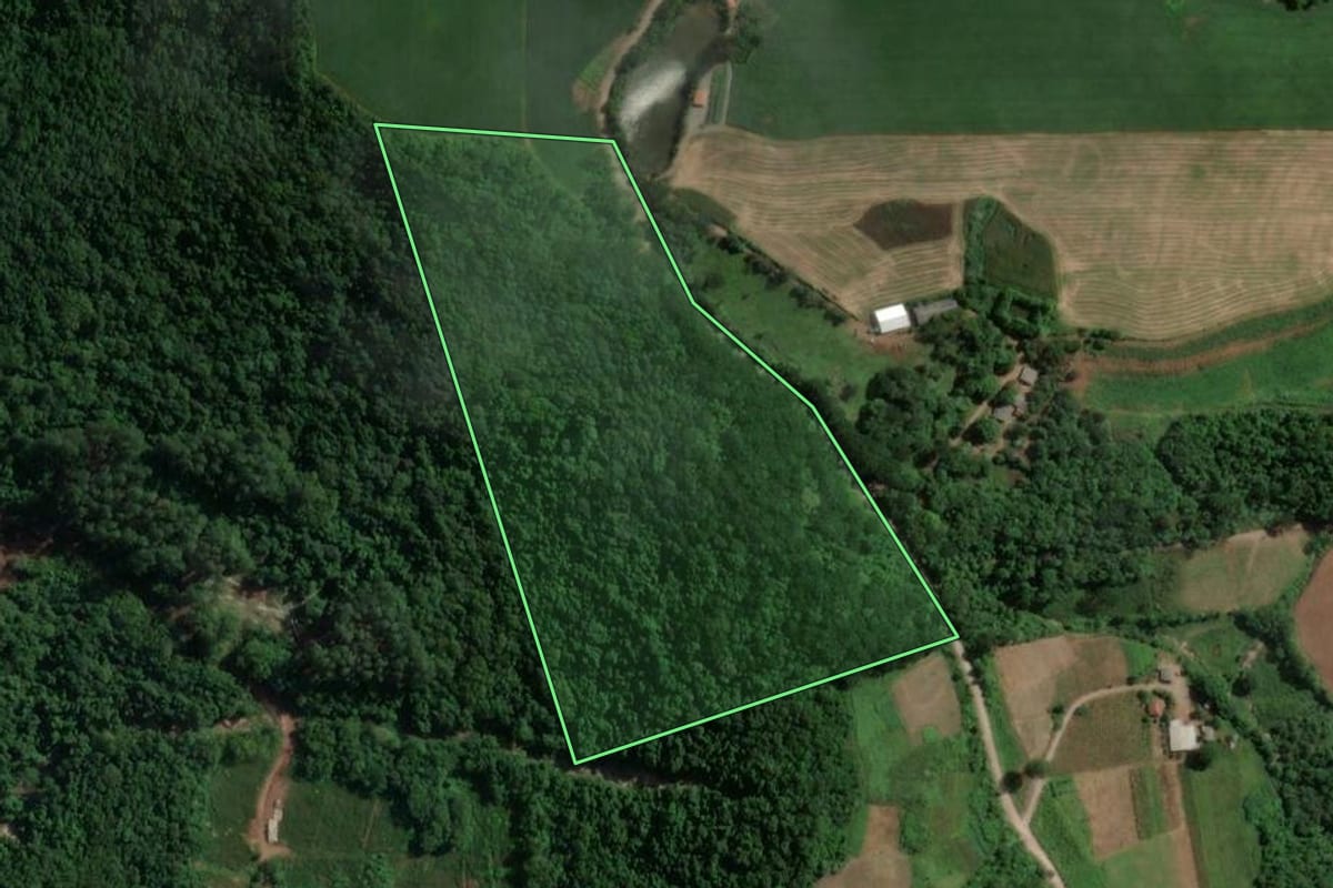 Imagem de satélite do imóvel rural em Anta Gorda (RS), com o contorno declarado no CAR desenhado por cima.