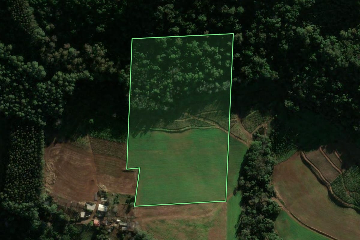 Imagem de satélite do imóvel rural em Anta Gorda (RS), com o contorno declarado no CAR desenhado por cima.
