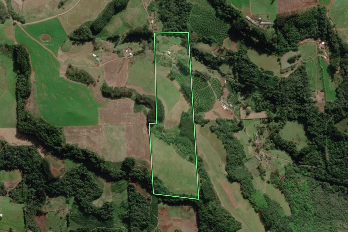 Imagem de satélite do imóvel rural em Anta Gorda (RS), com o contorno declarado no CAR desenhado por cima.