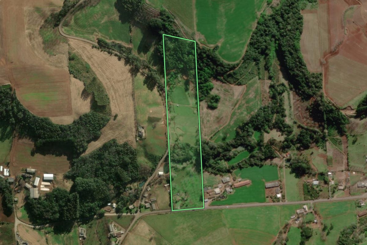 Imagem de satélite do imóvel rural em Anta Gorda (RS), com o contorno declarado no CAR desenhado por cima.