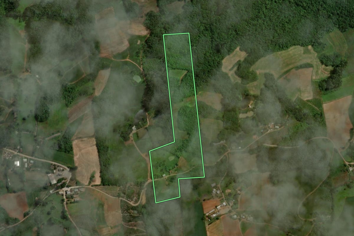 Imagem de satélite do imóvel rural em Anta Gorda (RS), com o contorno declarado no CAR desenhado por cima.