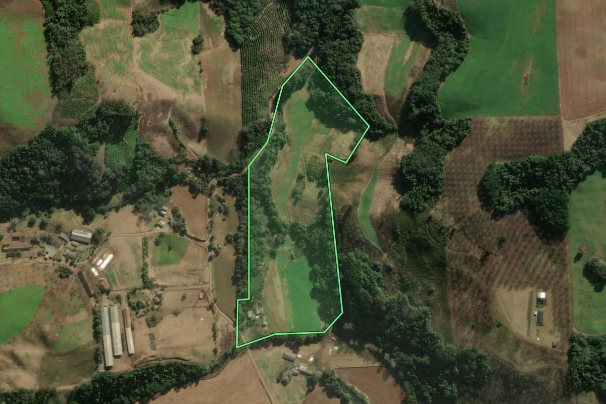Imagem de satélite do imóvel rural em Anta Gorda (RS), com o contorno declarado no CAR desenhado por cima.