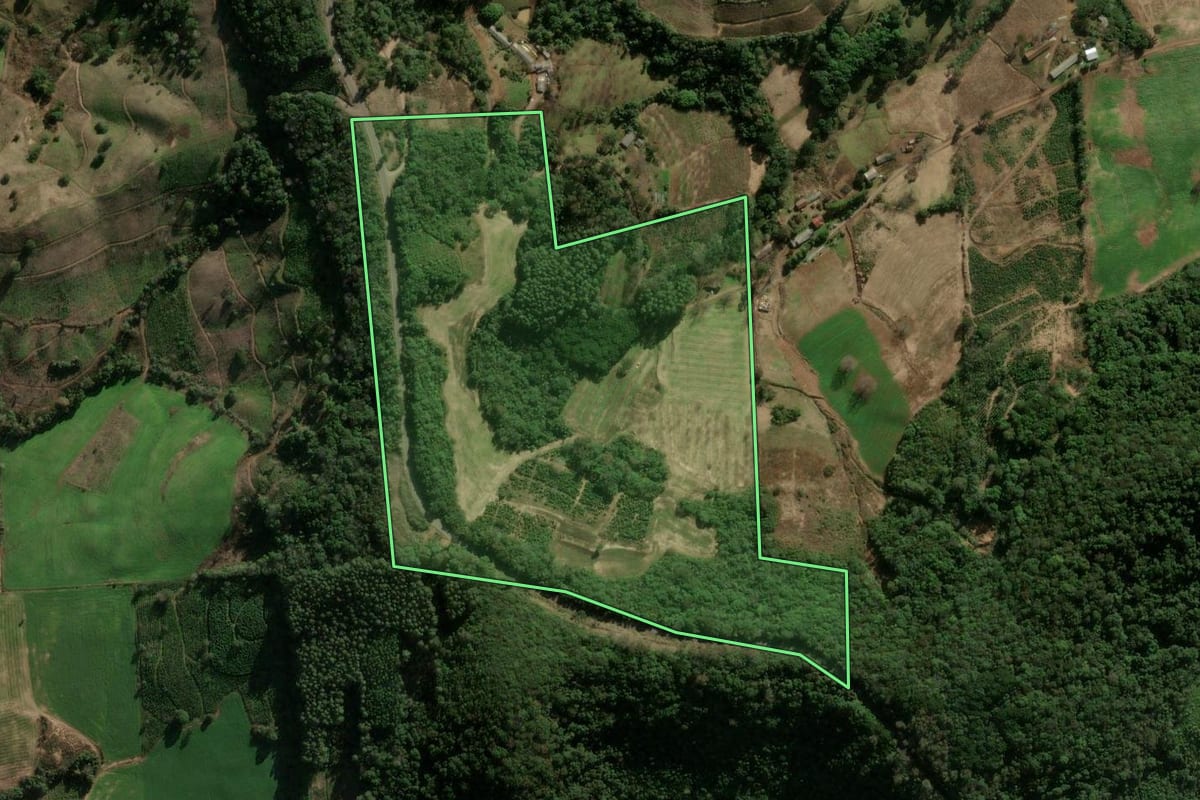 Imagem de satélite do imóvel rural em Anta Gorda (RS), com o contorno declarado no CAR desenhado por cima.