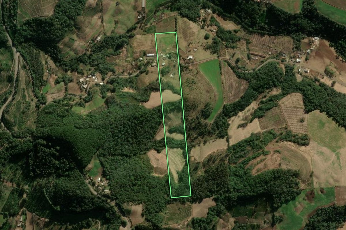 Imagem de satélite do imóvel rural em Anta Gorda (RS), com o contorno declarado no CAR desenhado por cima.