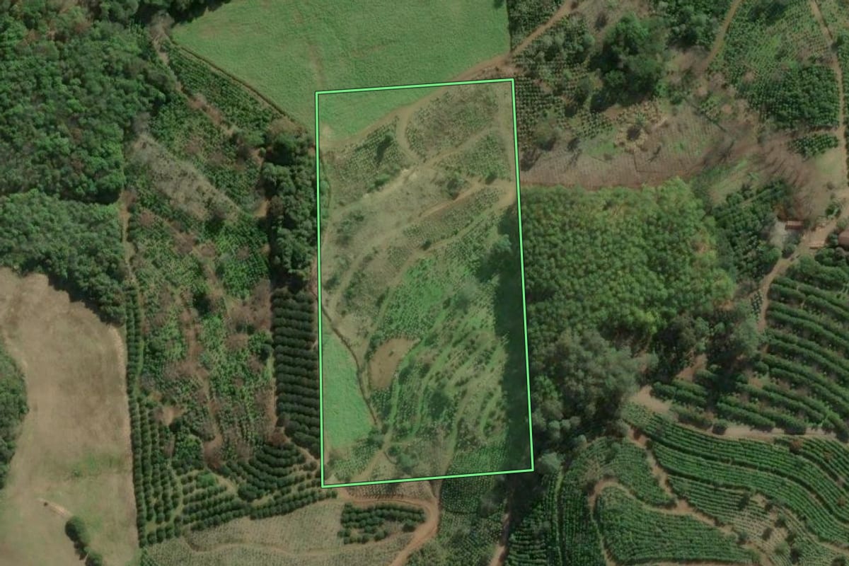 Imagem de satélite do imóvel rural em Anta Gorda (RS), com o contorno declarado no CAR desenhado por cima.
