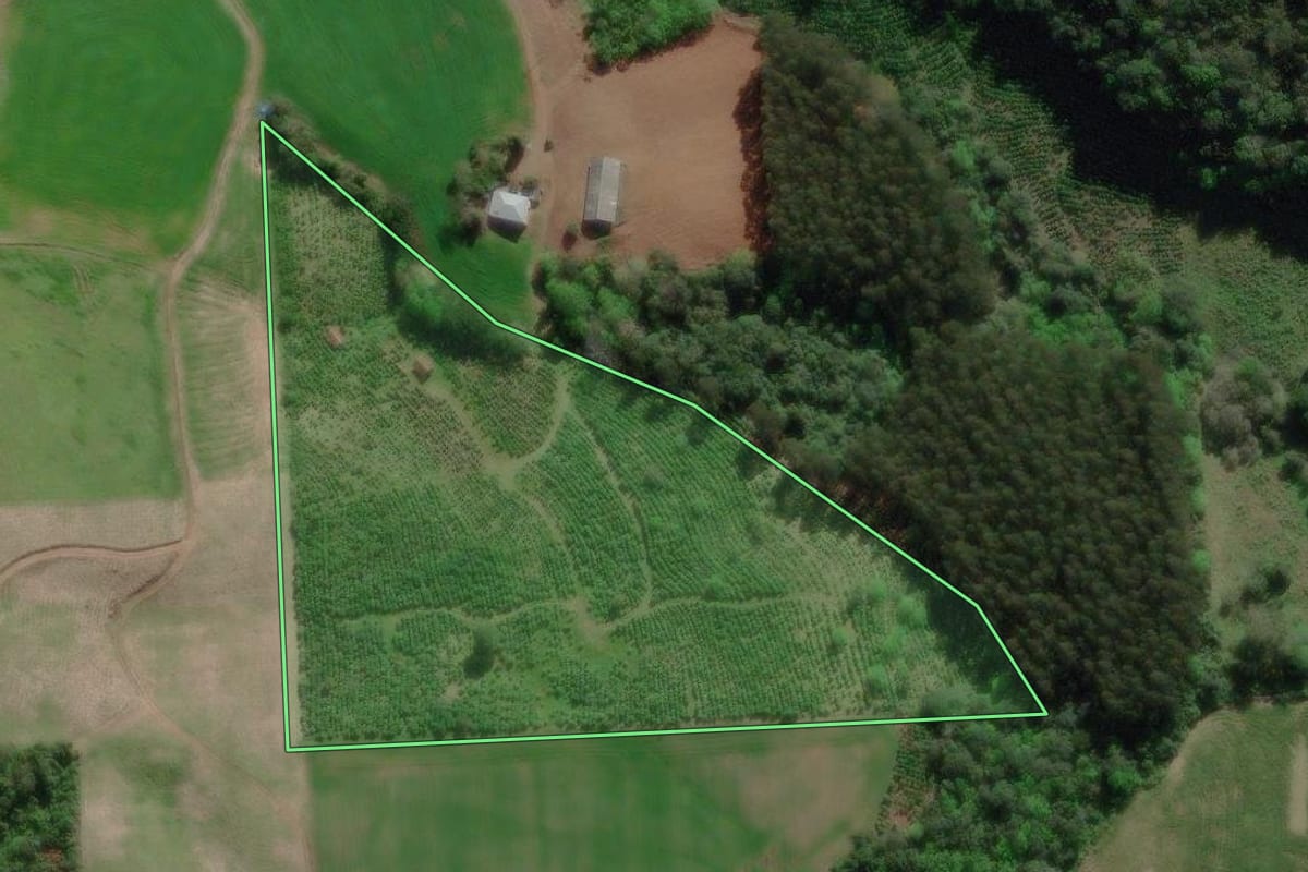 Imagem de satélite do imóvel rural em Anta Gorda (RS), com o contorno declarado no CAR desenhado por cima.