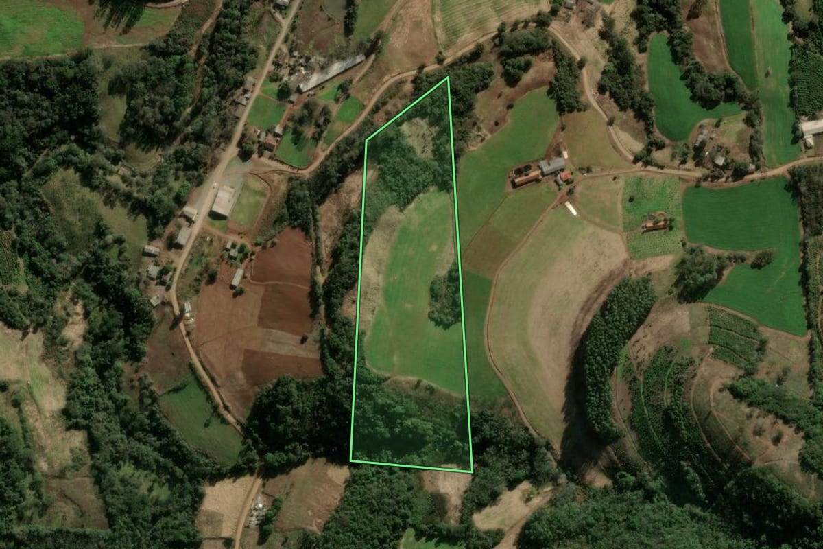 Imagem de satélite do imóvel rural em Anta Gorda (RS), com o contorno declarado no CAR desenhado por cima.