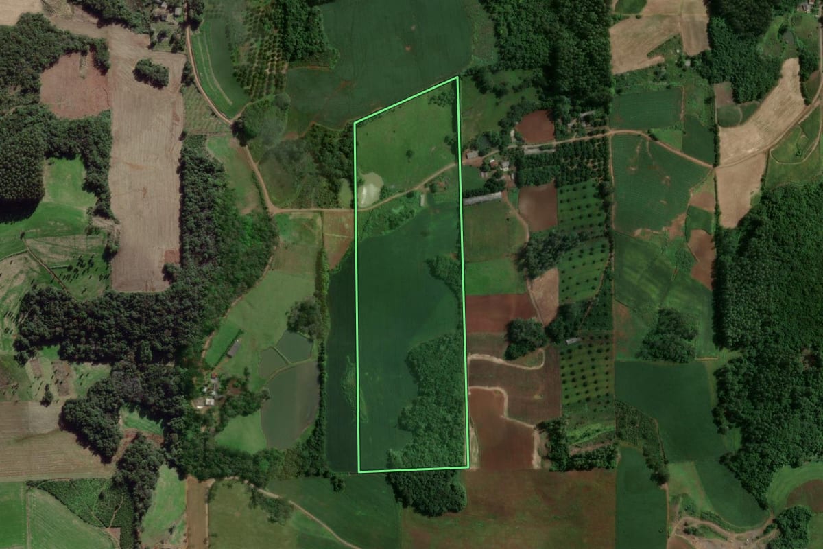 Imagem de satélite do imóvel rural em Anta Gorda (RS), com o contorno declarado no CAR desenhado por cima.