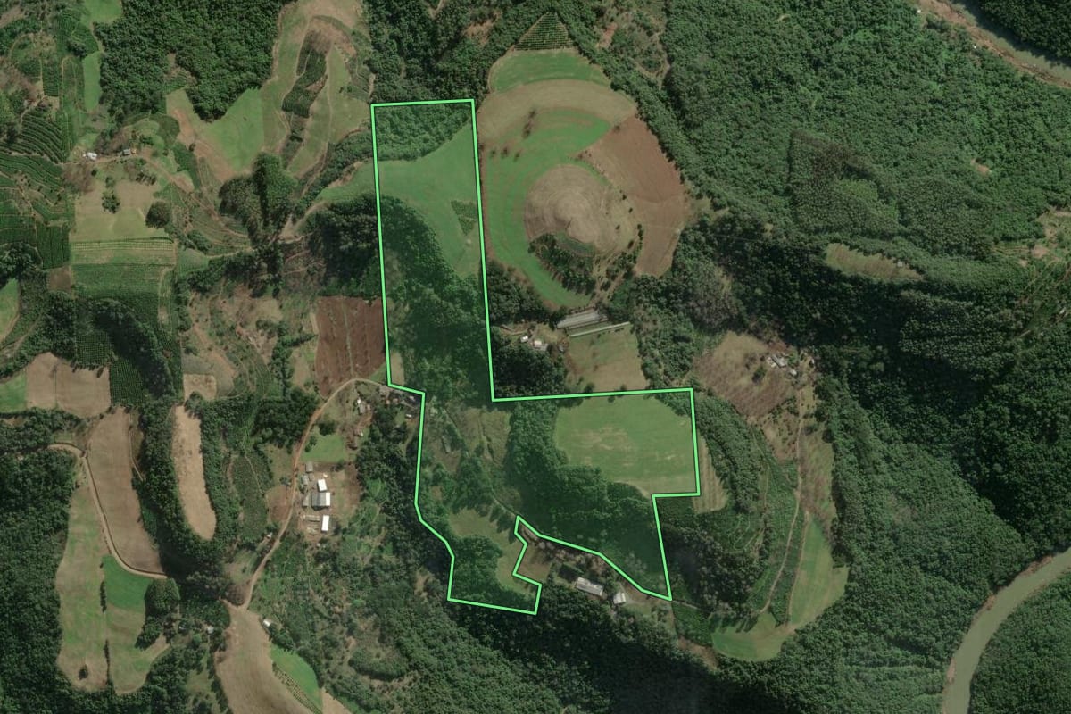Imagem de satélite do imóvel rural em Anta Gorda (RS), com o contorno declarado no CAR desenhado por cima.