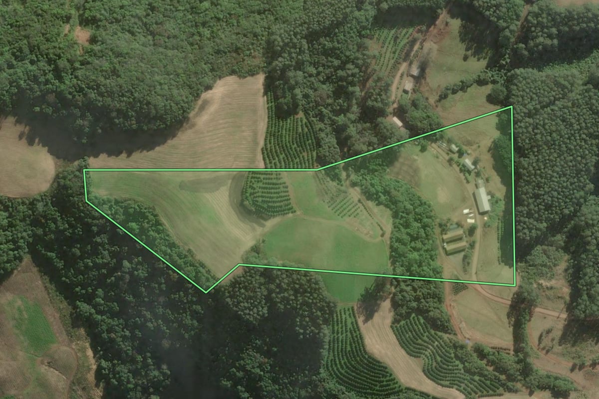 Imagem de satélite do imóvel rural em Anta Gorda (RS), com o contorno declarado no CAR desenhado por cima.