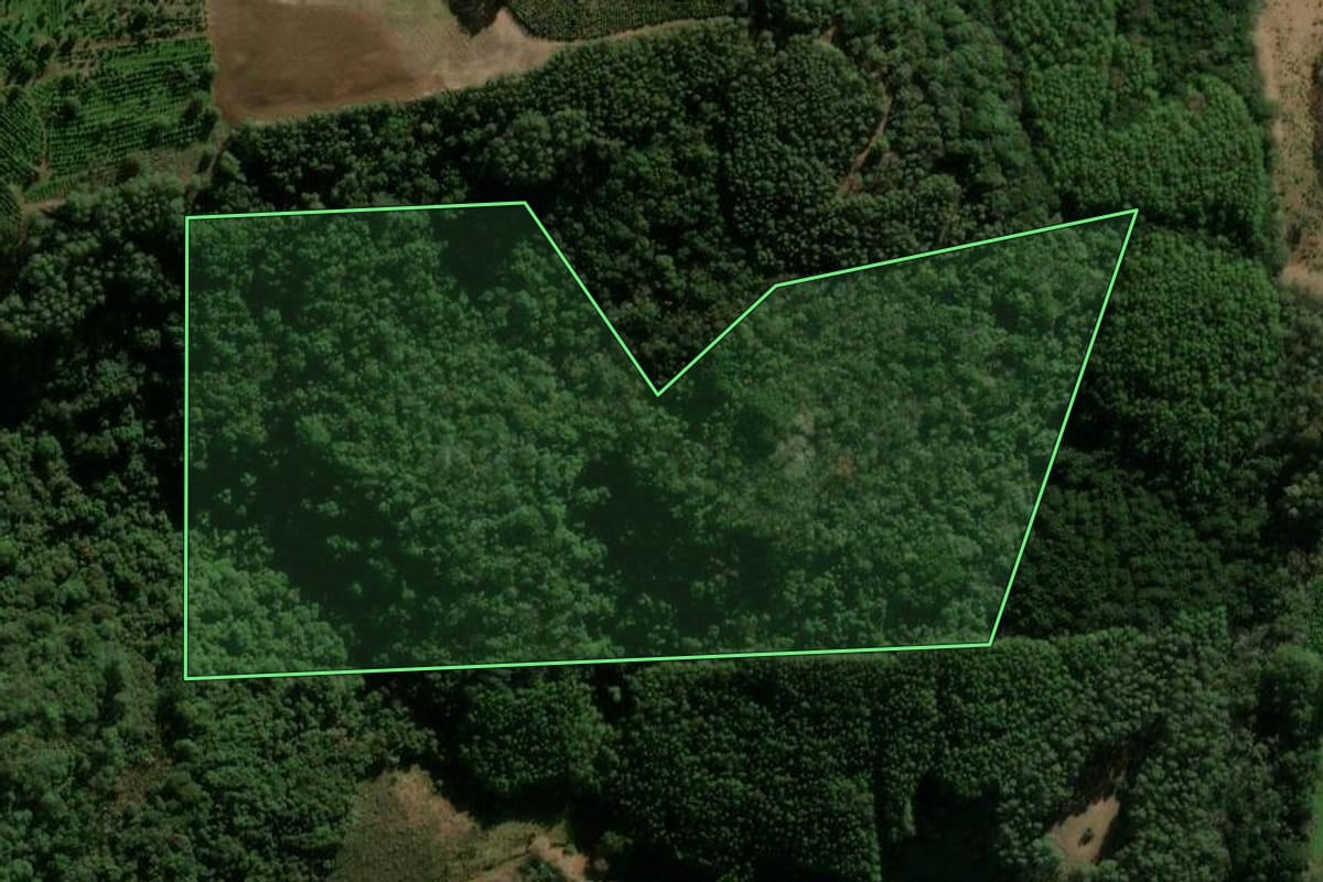Imagem de satélite do imóvel rural em Anta Gorda (RS), com o contorno declarado no CAR desenhado por cima.
