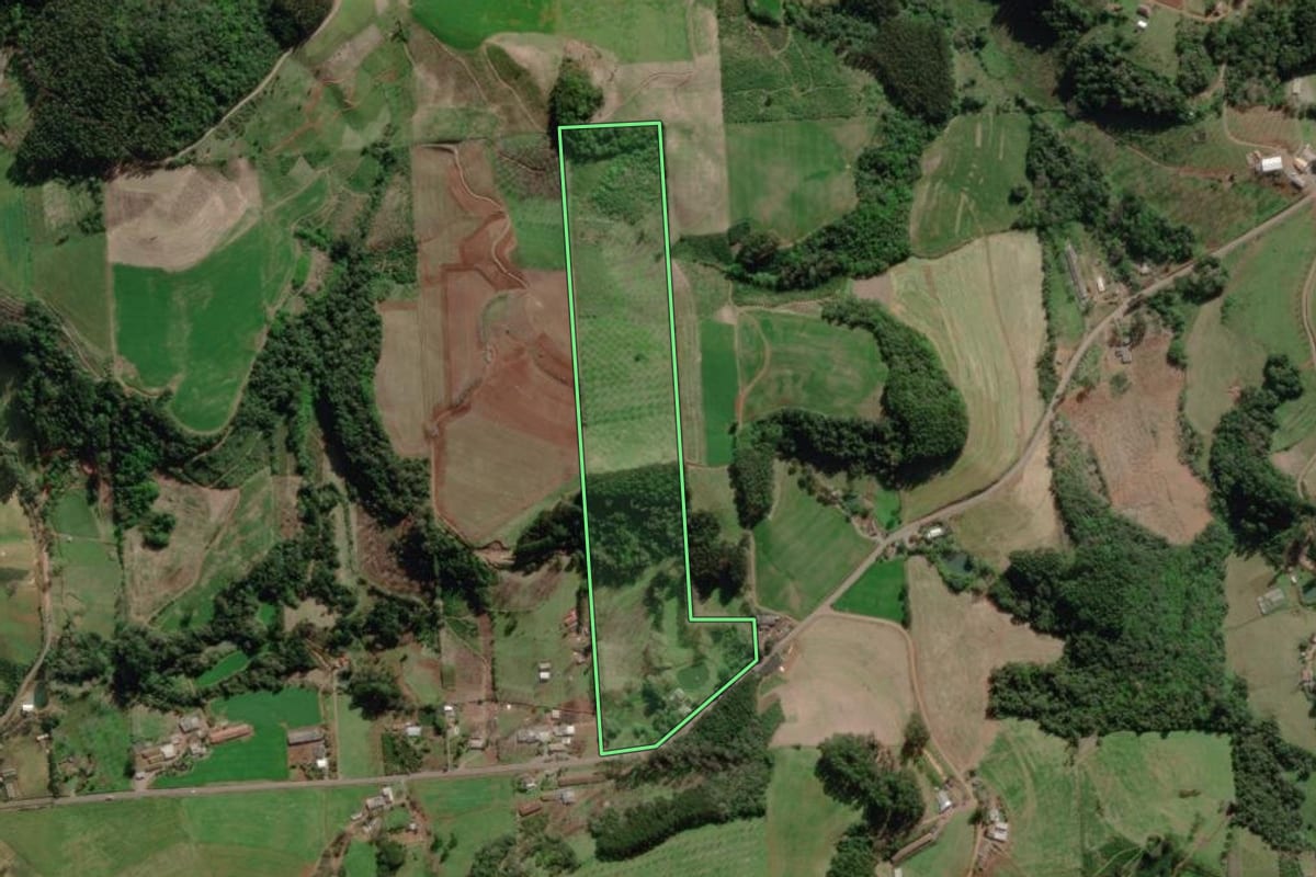 Imagem de satélite do imóvel rural em Anta Gorda (RS), com o contorno declarado no CAR desenhado por cima.
