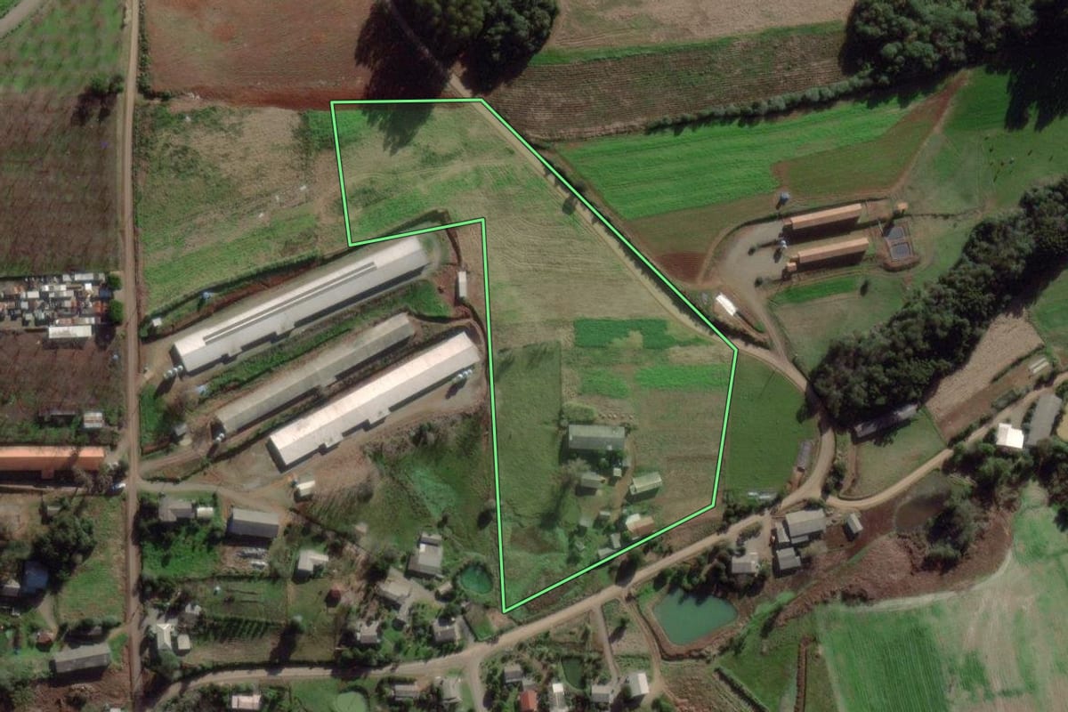 Imagem de satélite do imóvel rural em Anta Gorda (RS), com o contorno declarado no CAR desenhado por cima.