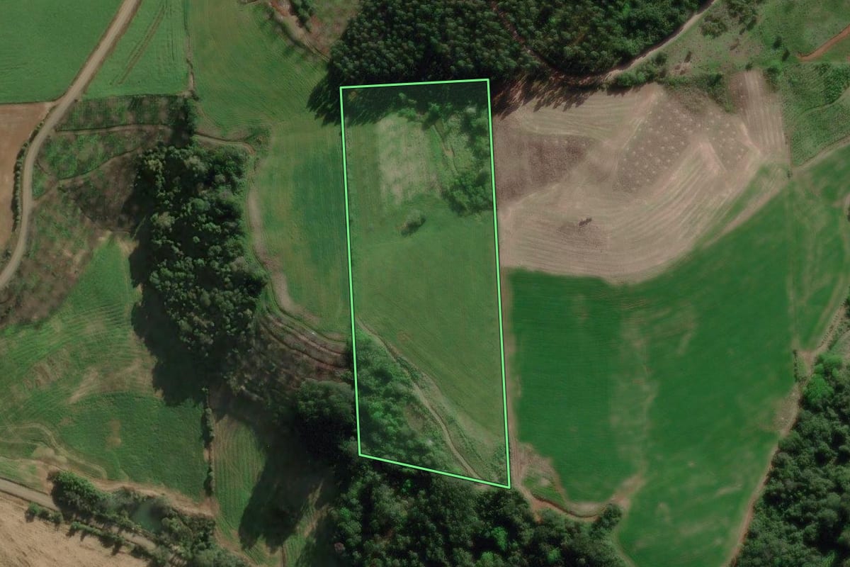 Imagem de satélite do imóvel rural em Anta Gorda (RS), com o contorno declarado no CAR desenhado por cima.