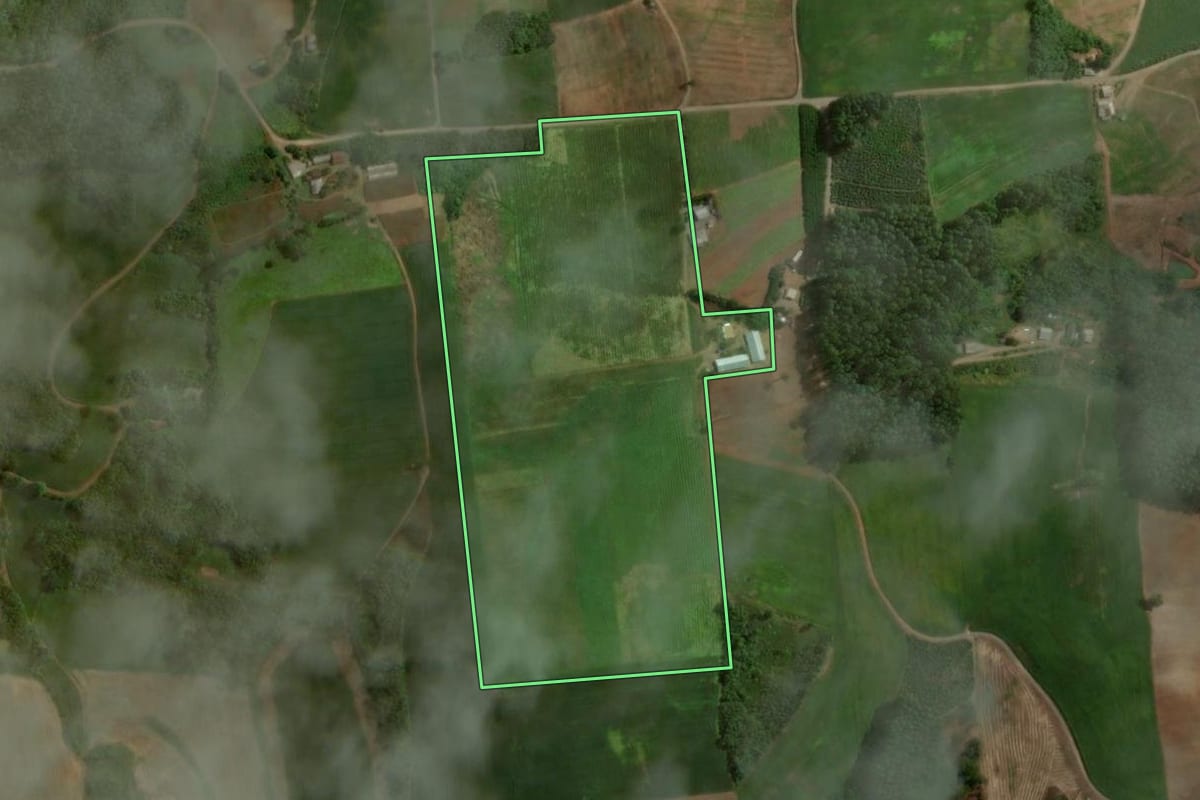 Imagem de satélite do imóvel rural em Anta Gorda (RS), com o contorno declarado no CAR desenhado por cima.