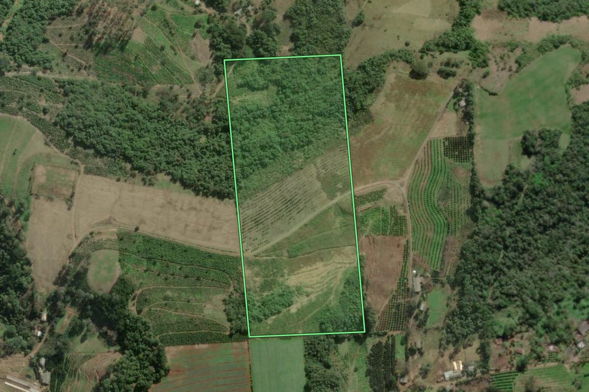 Imagem de satélite do imóvel rural em Anta Gorda (RS), com o contorno declarado no CAR desenhado por cima.