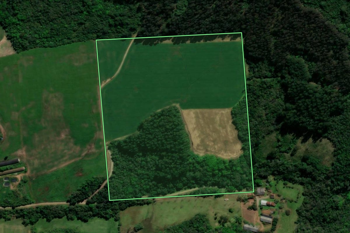 Imagem de satélite do imóvel rural em Anta Gorda (RS), com o contorno declarado no CAR desenhado por cima.