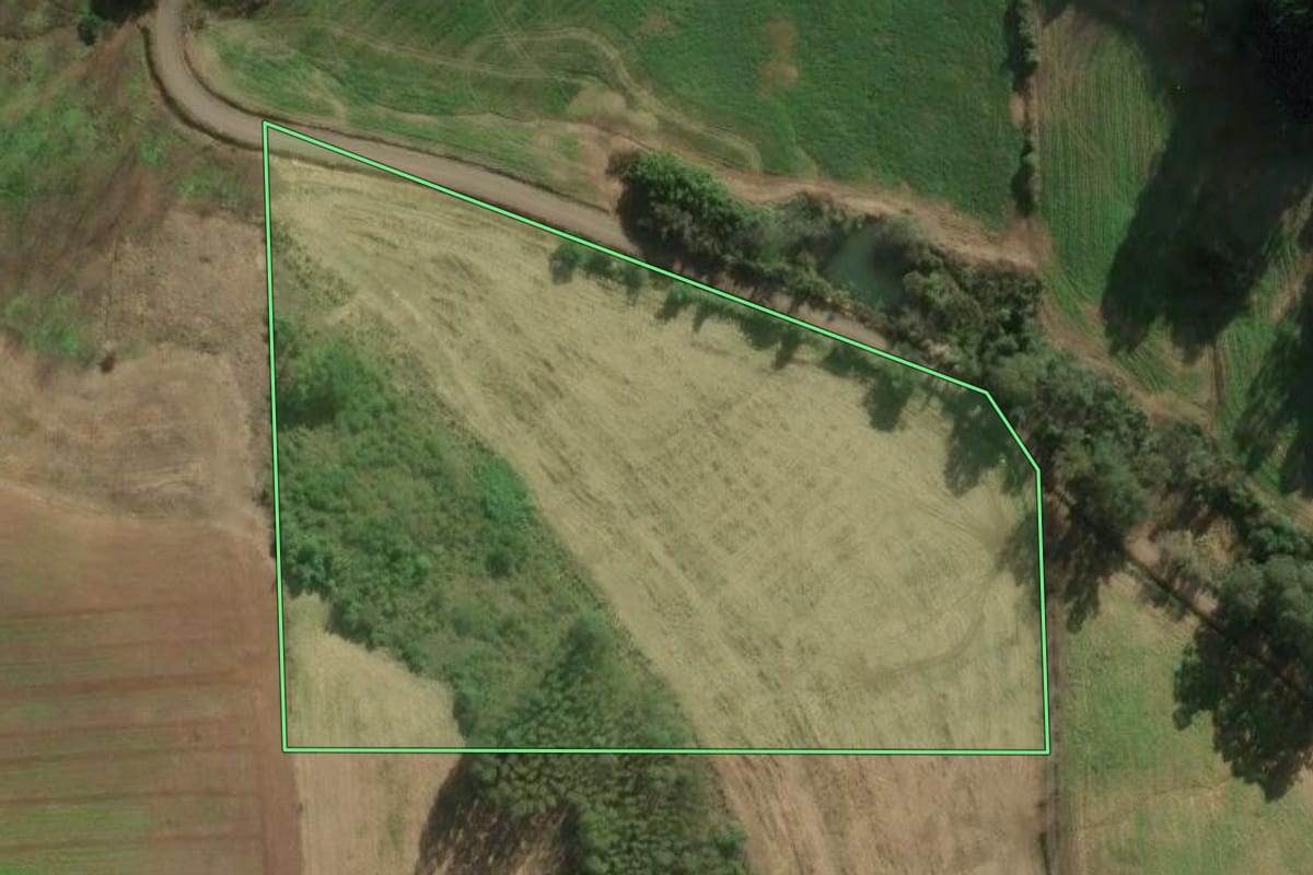 Imagem de satélite do imóvel rural em Anta Gorda (RS), com o contorno declarado no CAR desenhado por cima.