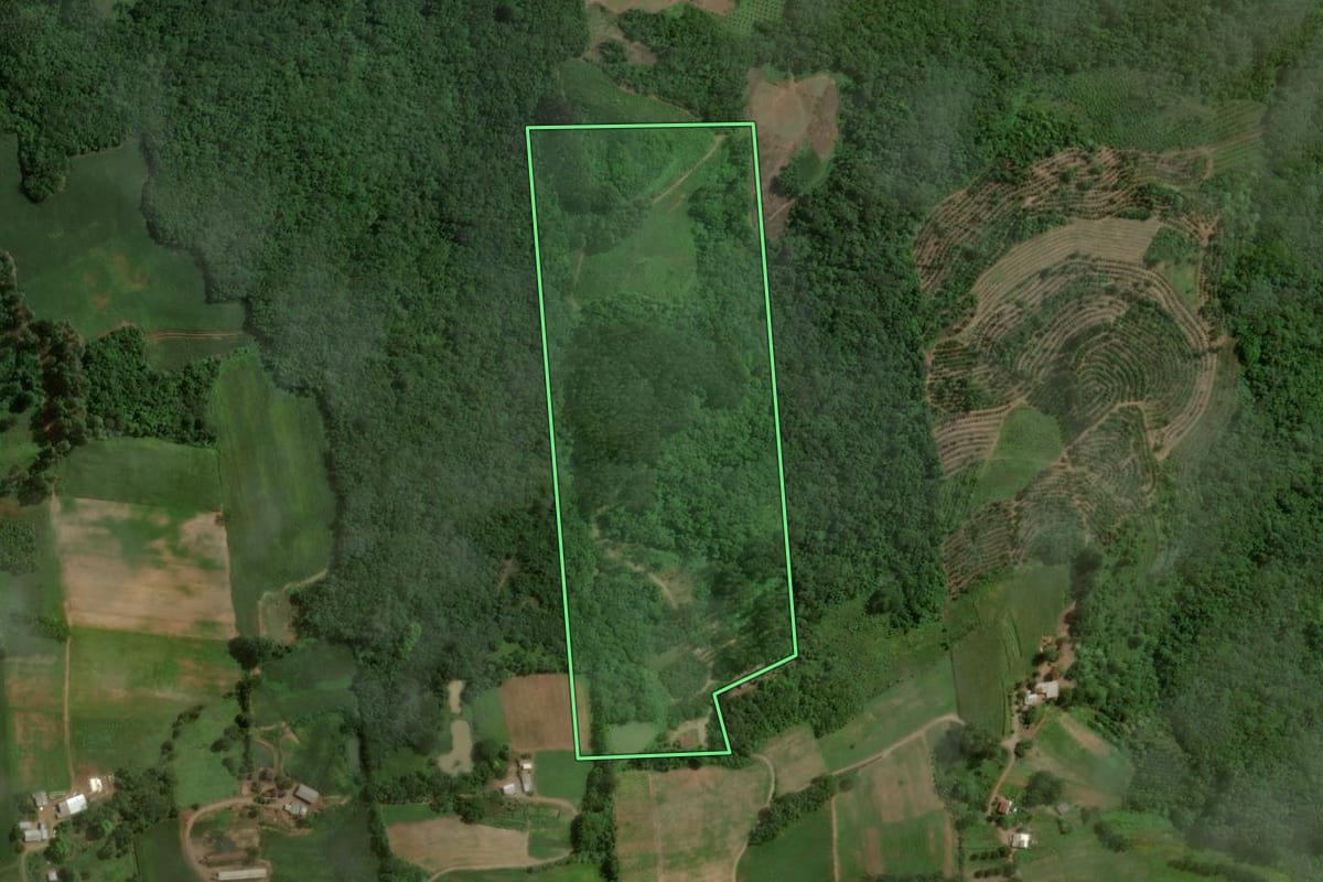 Imagem de satélite do imóvel rural em Anta Gorda (RS), com o contorno declarado no CAR desenhado por cima.