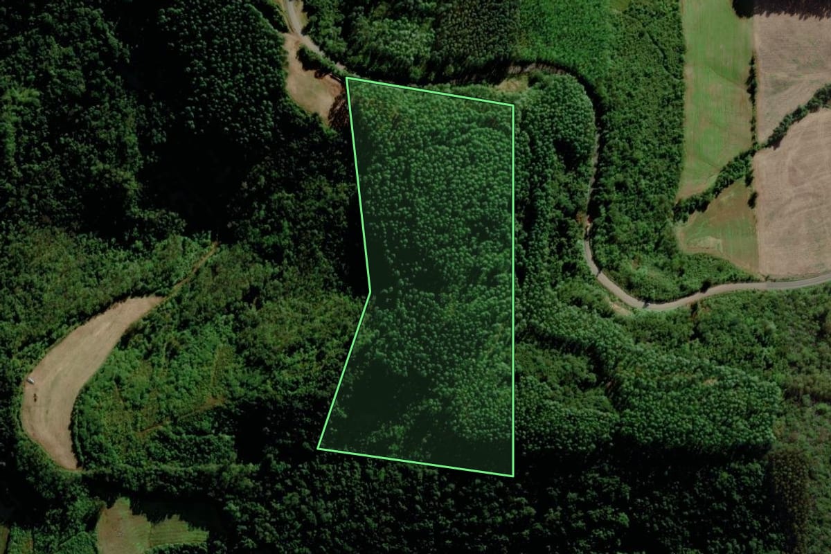 Imagem de satélite do imóvel rural em Anta Gorda (RS), com o contorno declarado no CAR desenhado por cima.
