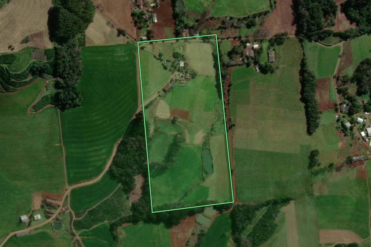 Imagem de satélite do imóvel rural em Anta Gorda (RS), com o contorno declarado no CAR desenhado por cima.