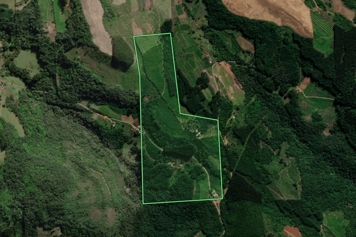 Imagem de satélite do imóvel rural em Anta Gorda (RS), com o contorno declarado no CAR desenhado por cima.