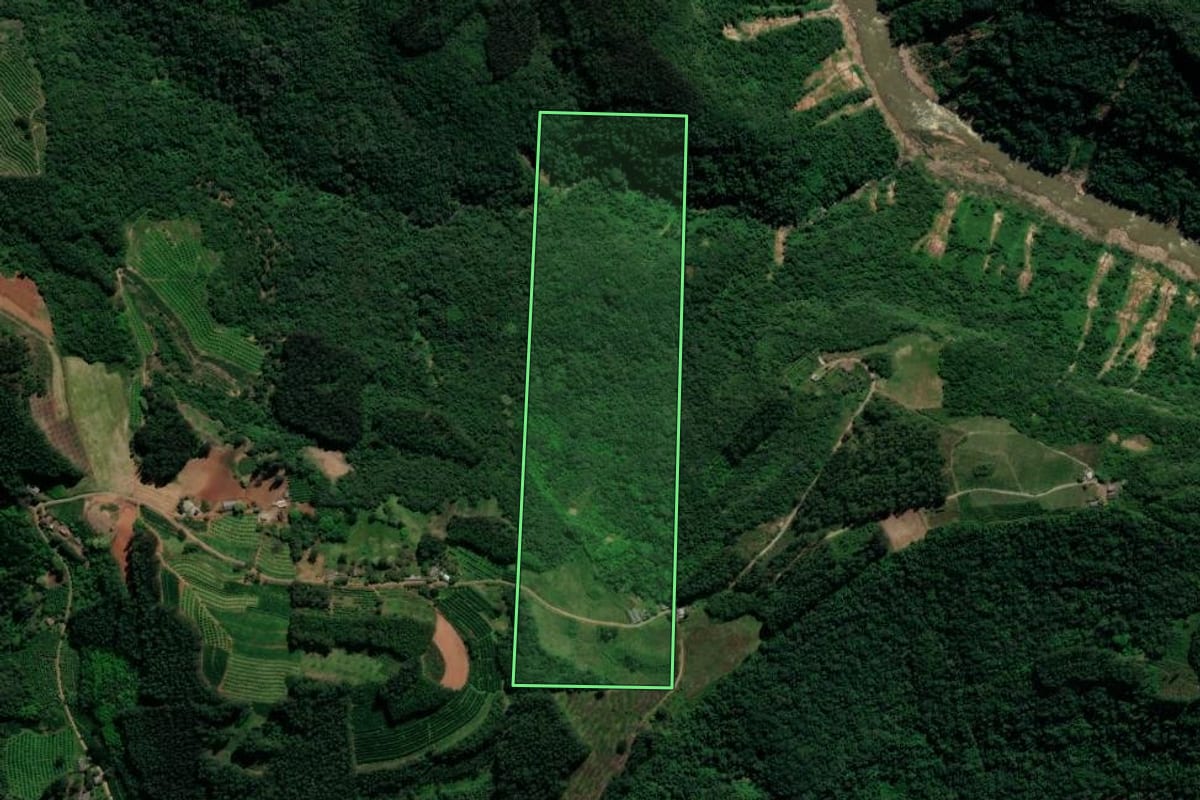 Imagem de satélite do imóvel rural em Anta Gorda (RS), com o contorno declarado no CAR desenhado por cima.