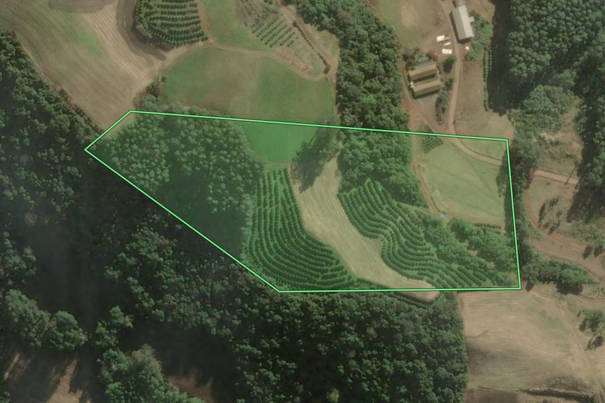 Imagem de satélite do imóvel rural em Anta Gorda (RS), com o contorno declarado no CAR desenhado por cima.