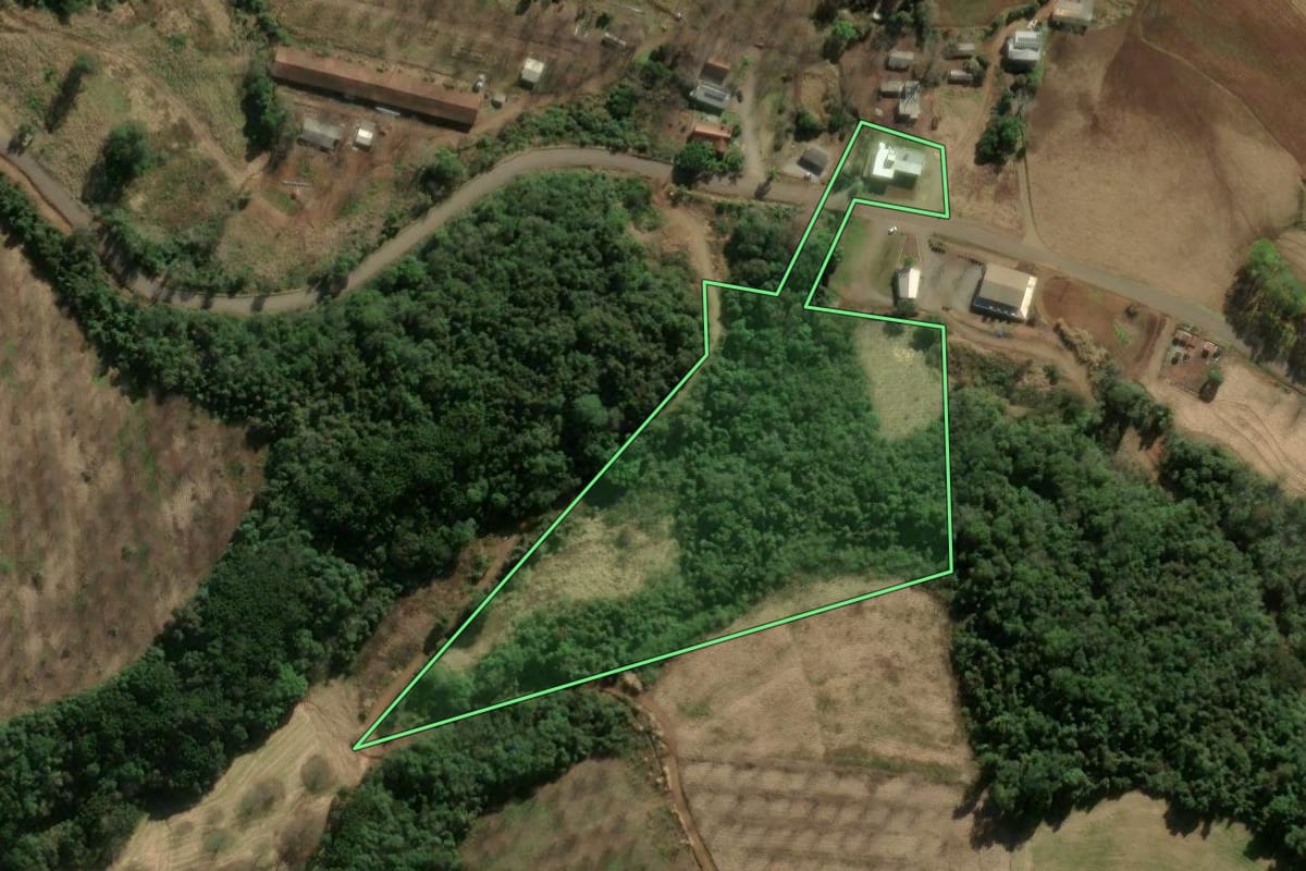 Imagem de satélite do imóvel rural em Anta Gorda (RS), com o contorno declarado no CAR desenhado por cima.