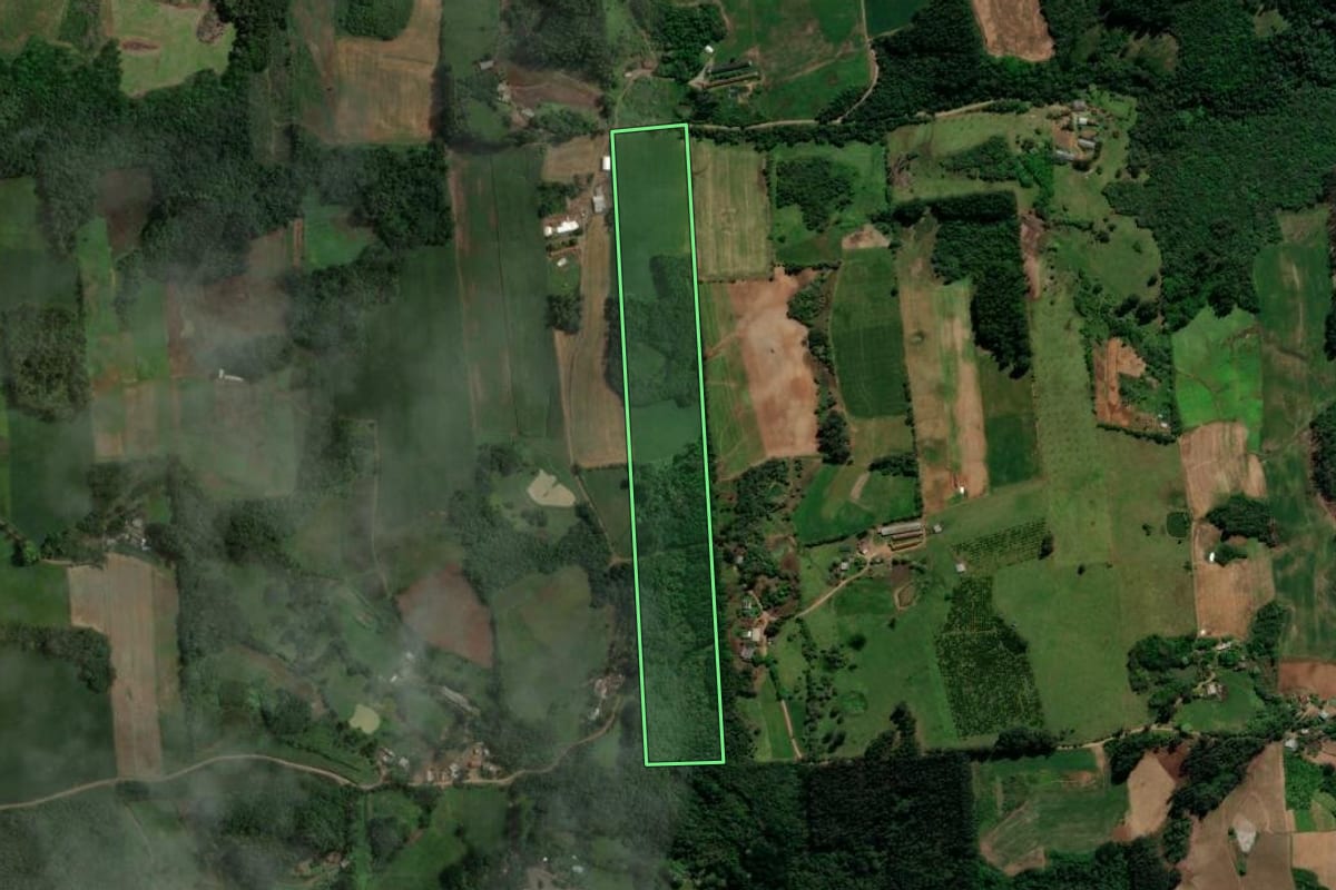 Imagem de satélite do imóvel rural em Anta Gorda (RS), com o contorno declarado no CAR desenhado por cima.