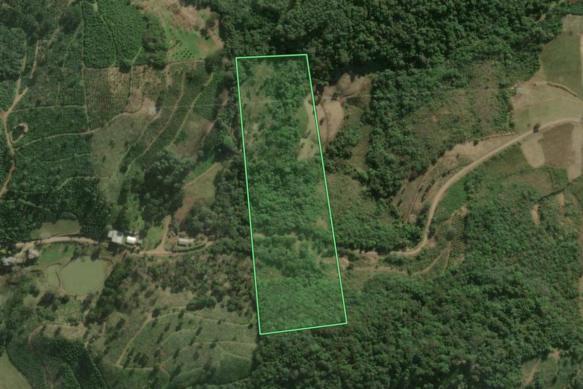Imagem de satélite do imóvel rural em Anta Gorda (RS), com o contorno declarado no CAR desenhado por cima.