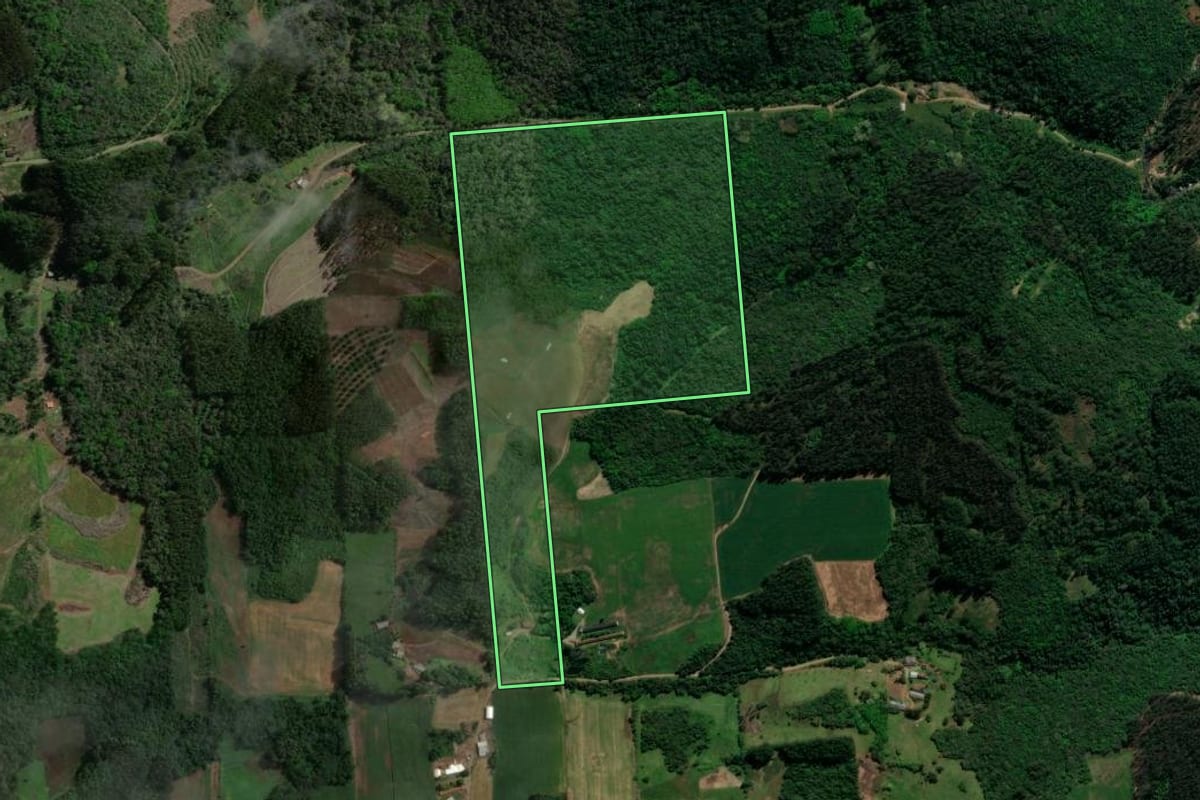 Imagem de satélite do imóvel rural em Anta Gorda (RS), com o contorno declarado no CAR desenhado por cima.