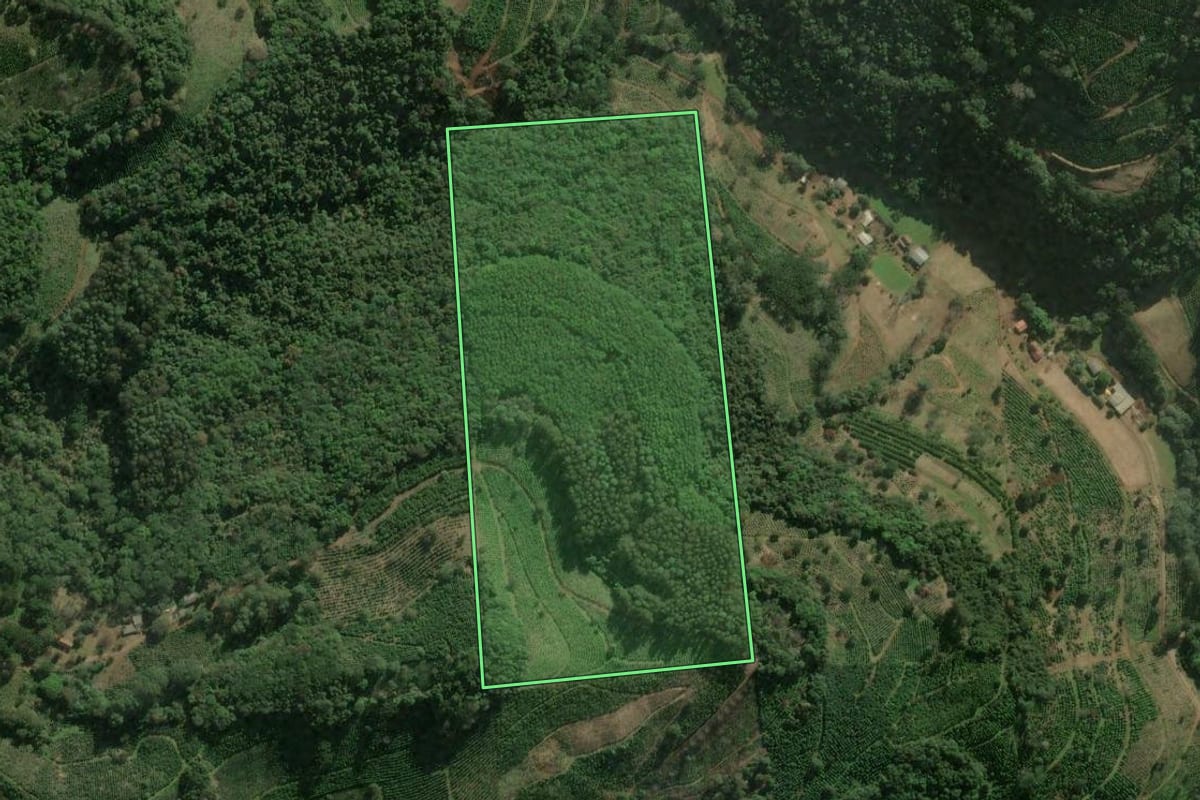 Imagem de satélite do imóvel rural em Anta Gorda (RS), com o contorno declarado no CAR desenhado por cima.