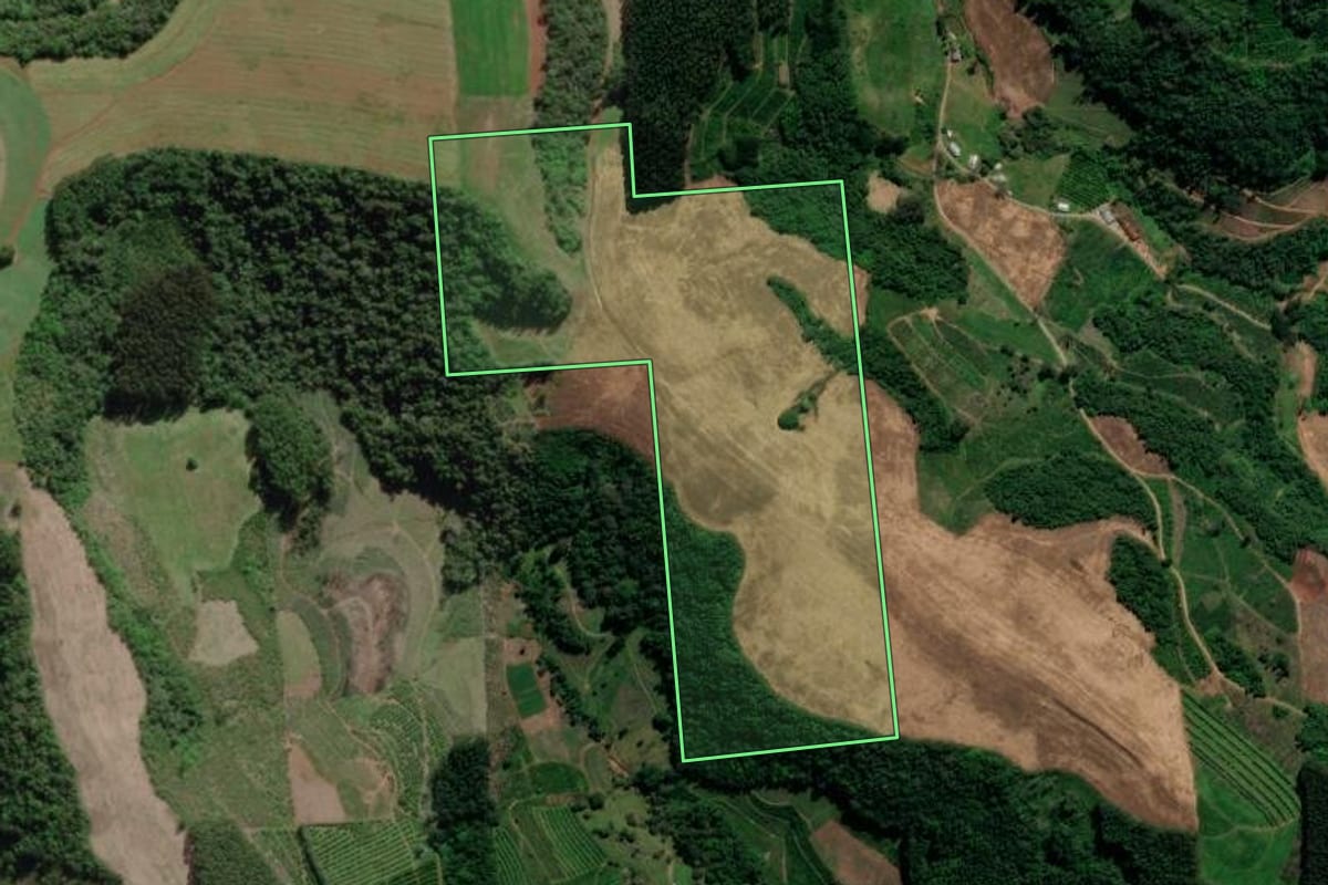 Imagem de satélite do imóvel rural em Anta Gorda (RS), com o contorno declarado no CAR desenhado por cima.