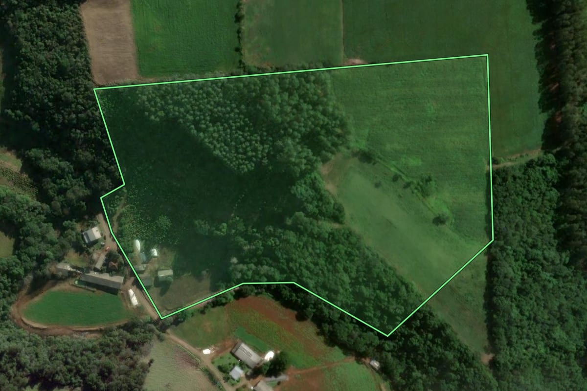 Imagem de satélite do imóvel rural em Anta Gorda (RS), com o contorno declarado no CAR desenhado por cima.