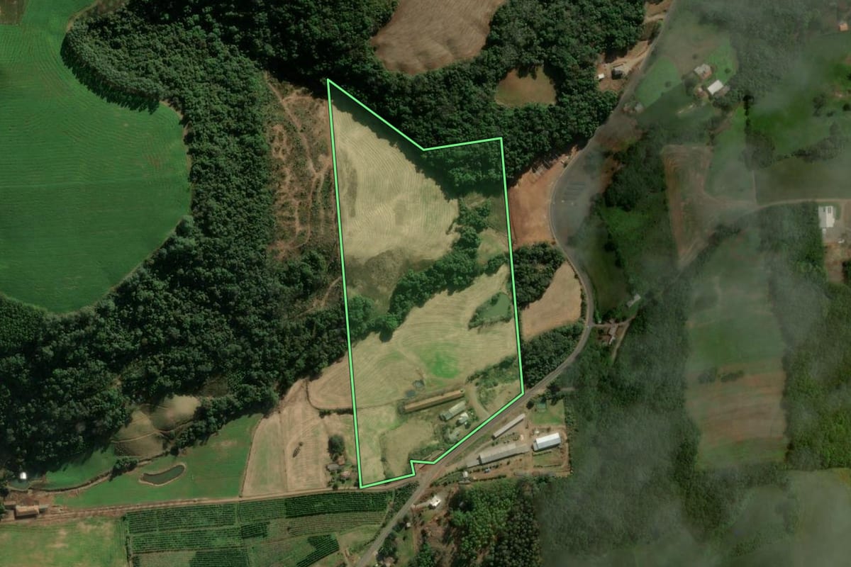 Imagem de satélite do imóvel rural em Anta Gorda (RS), com o contorno declarado no CAR desenhado por cima.