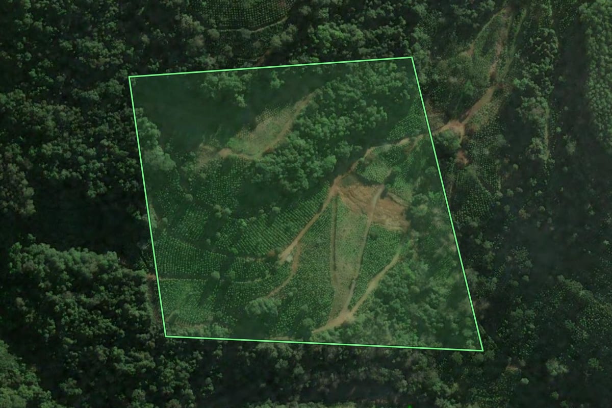 Imagem de satélite do imóvel rural em Anta Gorda (RS), com o contorno declarado no CAR desenhado por cima.