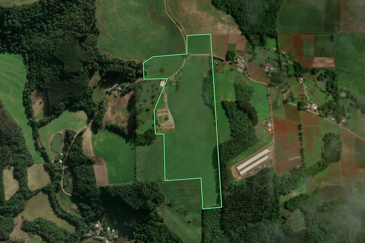Imagem de satélite do imóvel rural em Anta Gorda (RS), com o contorno declarado no CAR desenhado por cima.